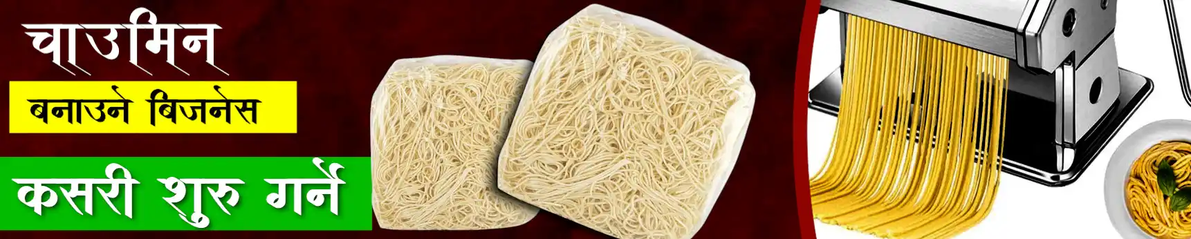 Chowmein Making Business in Nepal – Cost, Profit & Machines | Chaumin Making Machine (Noodle Machine)
