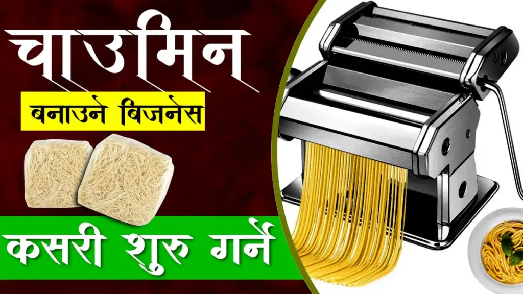 Chowmein Making Business in Nepal – Cost, Profit & Machines | Chaumin Makeing Machine (Noodle)